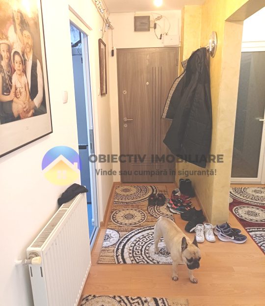 video image