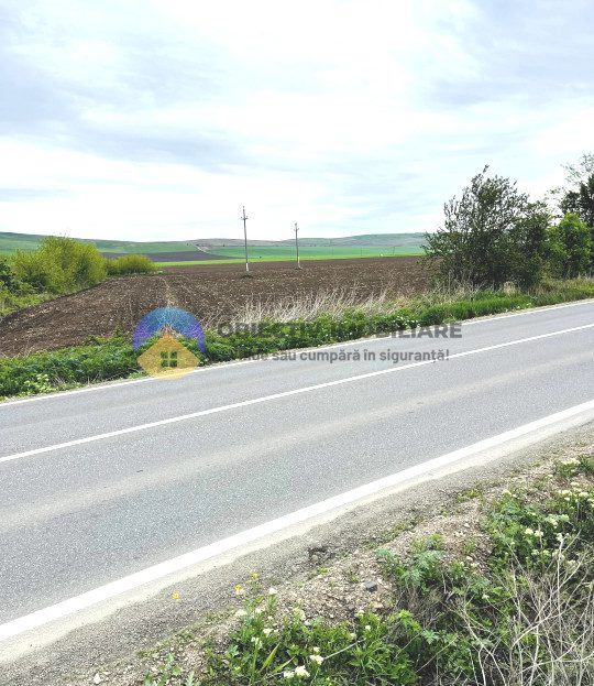video image
