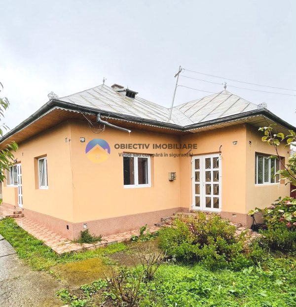 video image