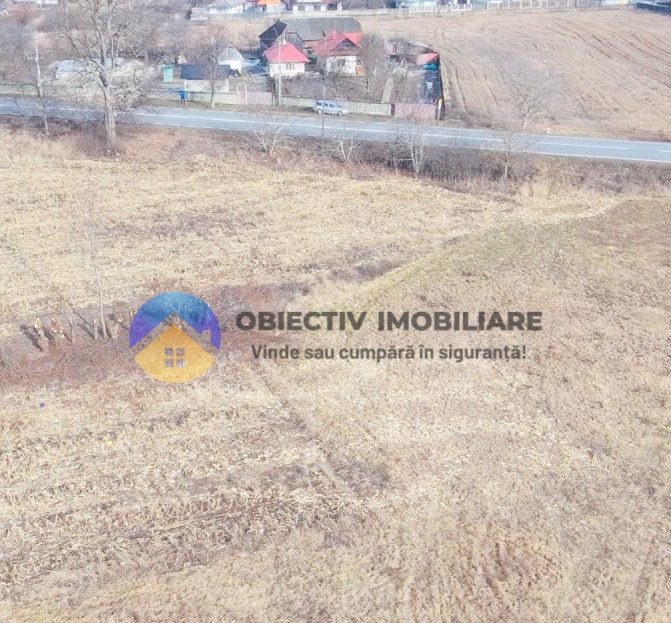 video image