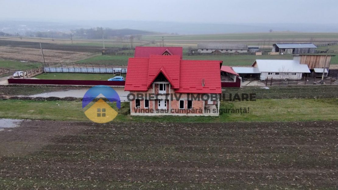 video image