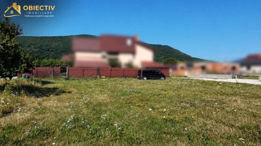 video image