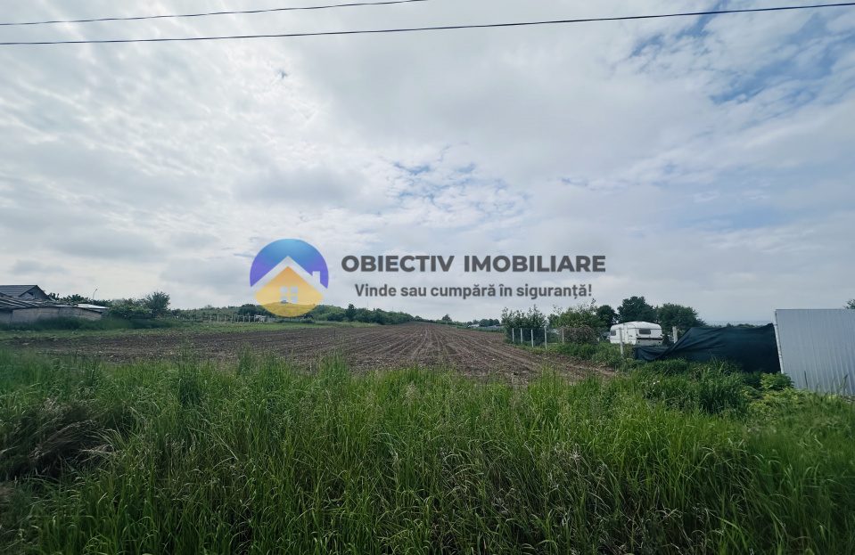 video image