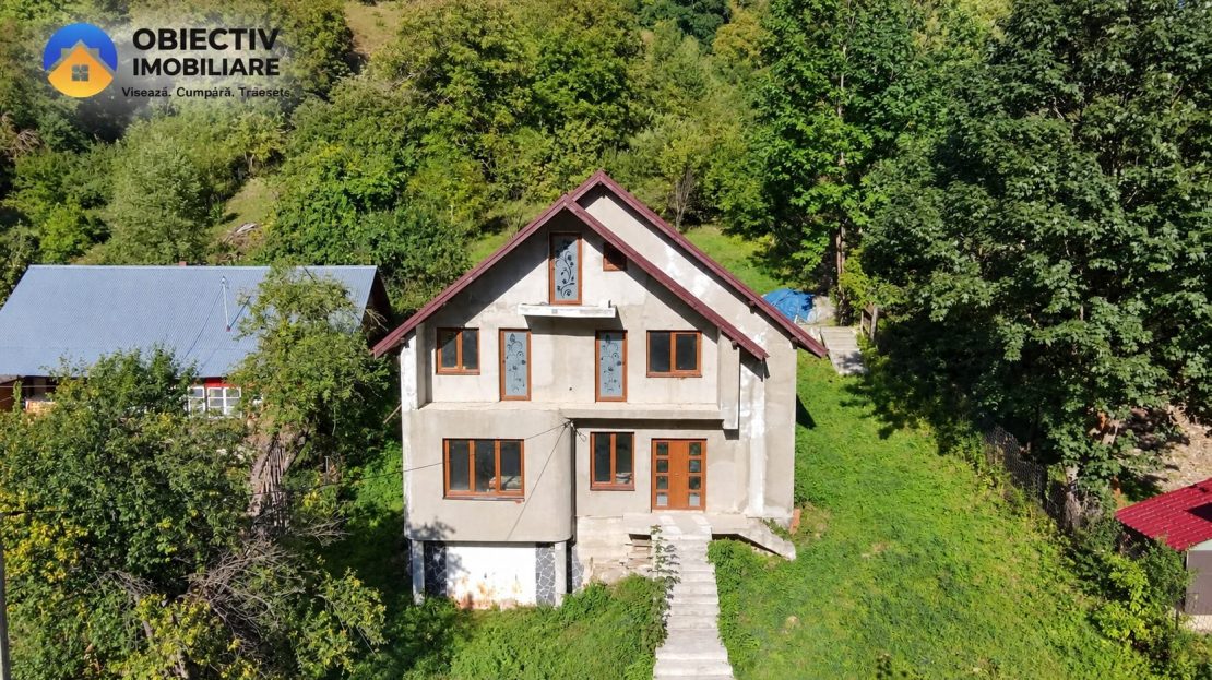 video image