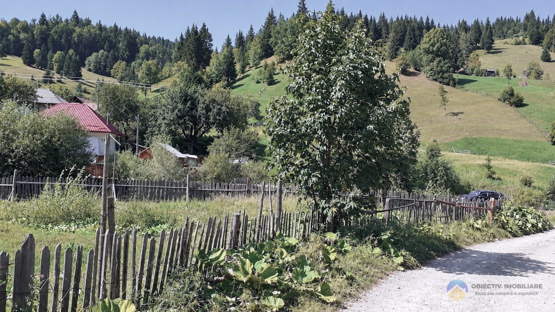 video image