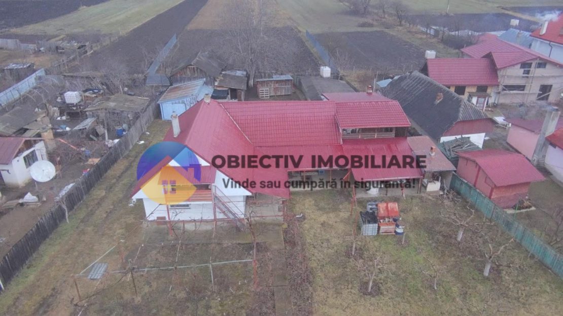 video image