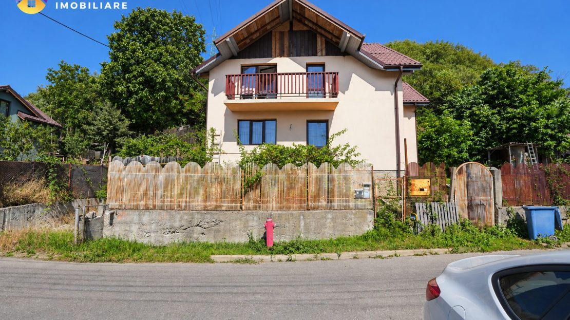 video image