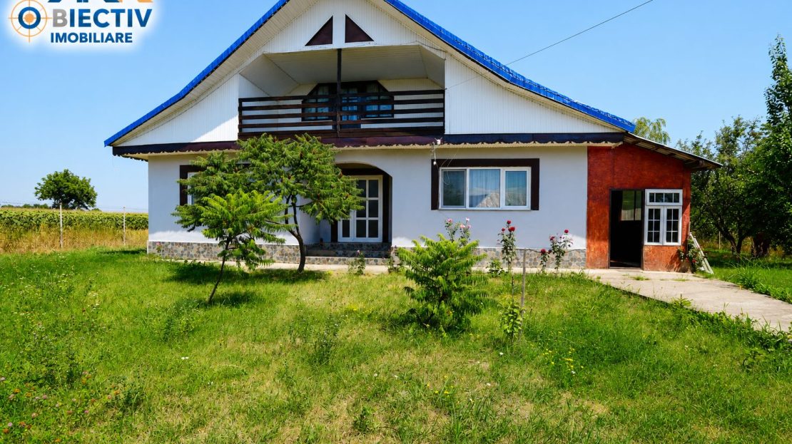 video image