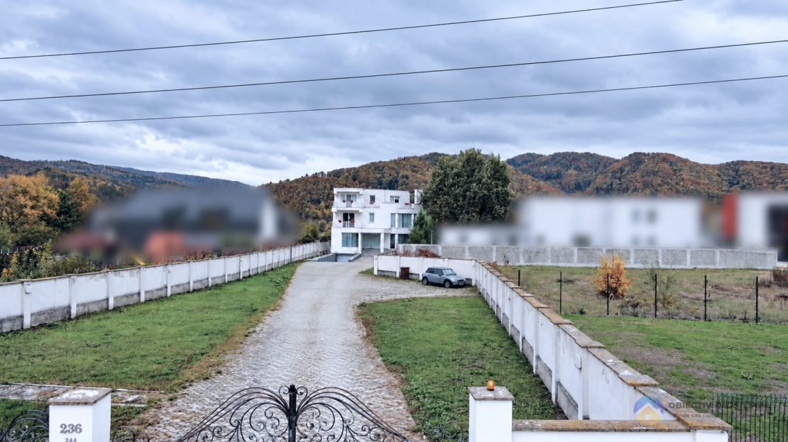 video image