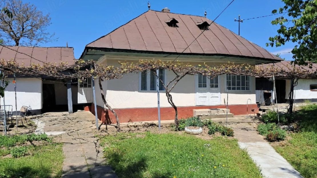 video image